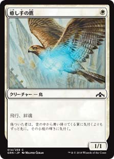 癒し手の鷹